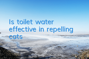 Is toilet water effective in repelling cats?