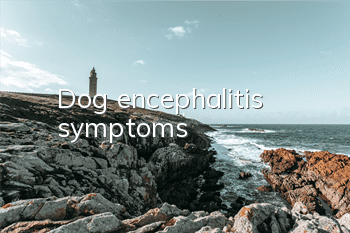 Dog encephalitis symptoms