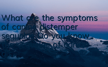 What are the symptoms of canine distemper sequelae? Do you know the sequelae of canine distemper after cure?