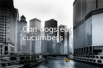 Can dogs eat cucumbers?