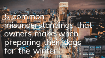 5 common misunderstandings that owners make when preparing their dogs for the winter