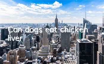 Can dogs eat chicken liver?