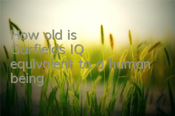 How old is Garfield's IQ equivalent to a human being?