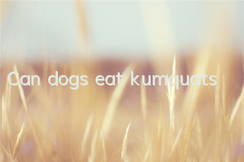 Can dogs eat kumquats?