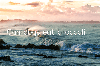 Can dogs eat broccoli?