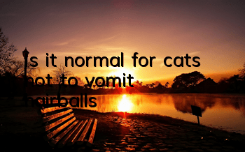 Is it normal for cats not to vomit hairballs?