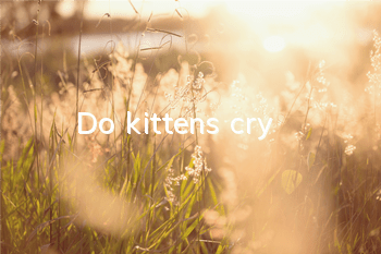 Do kittens cry?