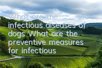 What are the infectious diseases of dogs? What are the preventive measures for infectious diseases of dogs?