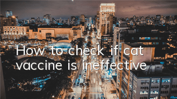 How to check if cat vaccine is ineffective