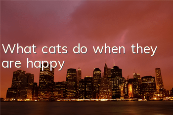 What cats do when they are happy