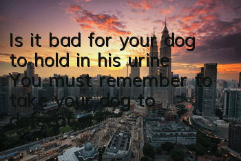 Is it bad for your dog to hold in his urine? You must remember to take your dog to defecate.