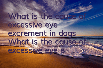 What is the cause of excessive eye excrement in dogs? What is the cause of excessive eye excrement in dogs?