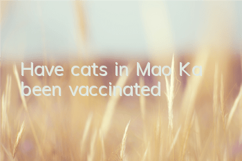 Have cats in Mao Ka been vaccinated?