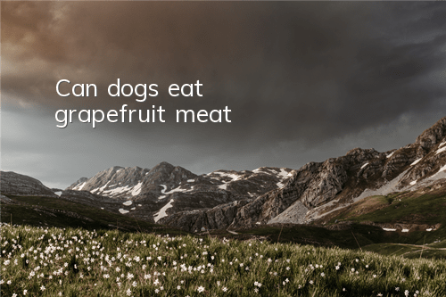 Can dogs eat grapefruit meat?