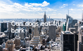Can dogs eat fruit bark?