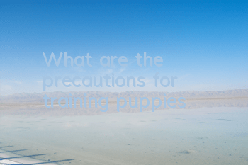 What are the precautions for training puppies?