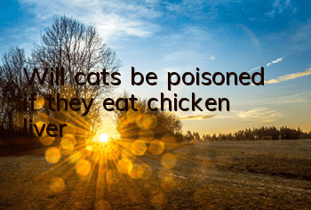 Will cats be poisoned if they eat chicken liver?