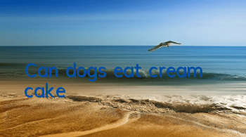 Can dogs eat cream cake?
