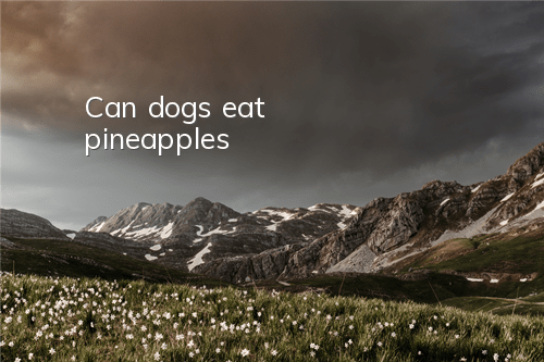 Can dogs eat pineapples?