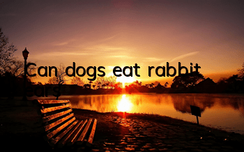 Can dogs eat rabbit ears?