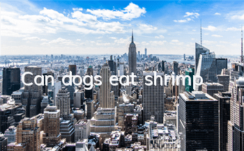 Can dogs eat shrimp?