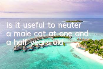 Is it useful to neuter a male cat at one and a half years old?