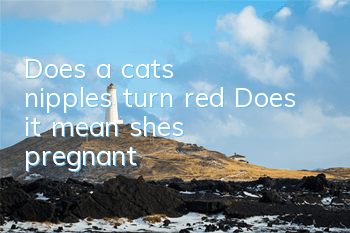 Does a cat's nipples turn red? Does it mean she's pregnant?