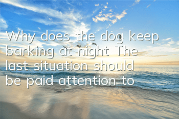 Why does the dog keep barking at night? The last situation should be paid attention to