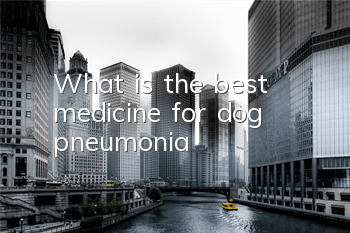 What is the best medicine for dog pneumonia?