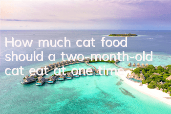 How much cat food should a two-month-old cat eat at one time?