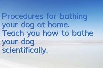 Procedures for bathing your dog at home. Teach you how to bathe your dog scientifically.