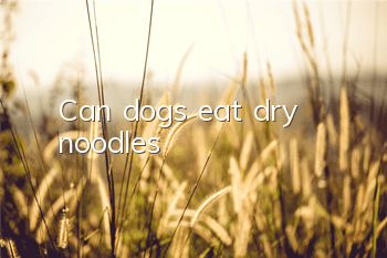 TCan dogs eat dry noodles?