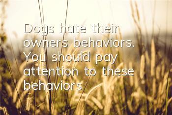 Dogs hate their owners’ behaviors. You should pay attention to these behaviors!