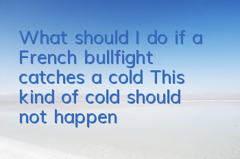 What should I do if a French bullfight catches a cold? This kind of cold should not happen often.