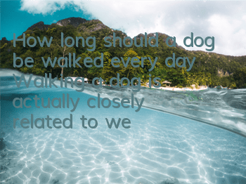 How long should a dog be walked every day? Walking a dog is actually closely related to weight!