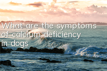 What are the symptoms of calcium deficiency in dogs?