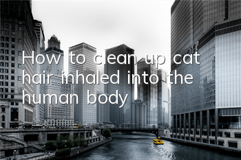 How to clean up cat hair inhaled into the human body