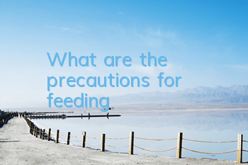 What are the precautions for feeding?