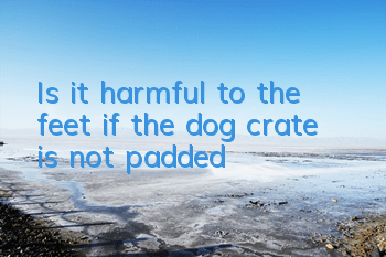 Is it harmful to the feet if the dog crate is not padded?