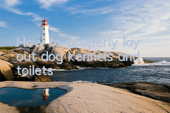 How to properly lay out dog kennels and toilets