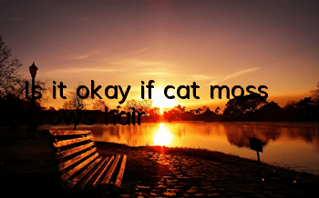 Is it okay if cat moss grows hair?