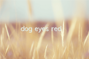 dog eyes red