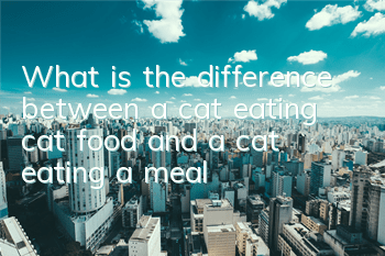What is the difference between a cat eating cat food and a cat eating a meal?