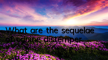 TWhat are the sequelae of canine distemper?