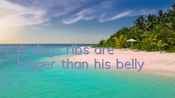 A dog’s ribs are bigger than his belly