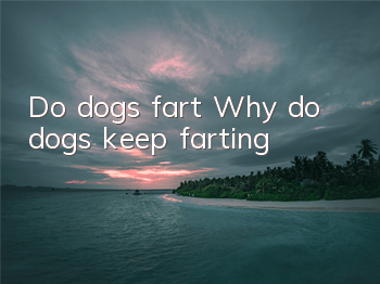 Do dogs fart? Why do dogs keep farting?