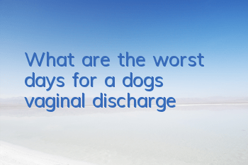 What are the worst days for a dog’s vaginal discharge?