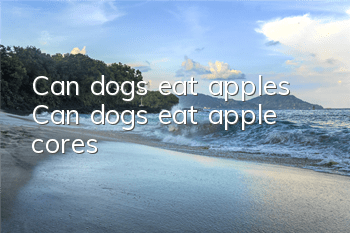 Can dogs eat apples? Can dogs eat apple cores?