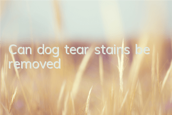 Can dog tear stains be removed?