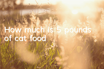 How much is 5 pounds of cat food?
